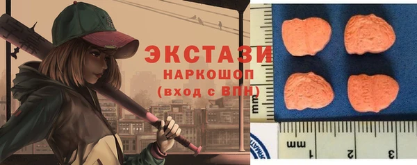 гашик Алексин