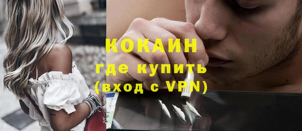 гашик Алексин