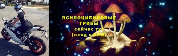 стафф Алзамай