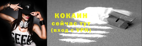 стафф Алзамай