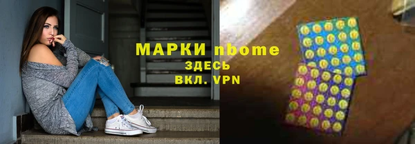 гашик Алексин