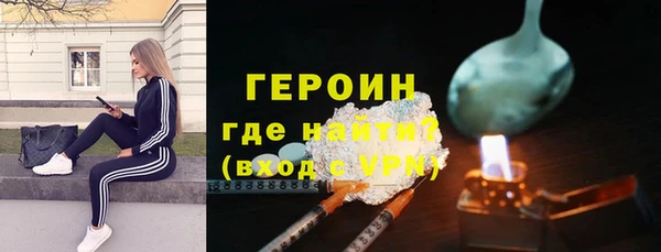 гашик Алексин