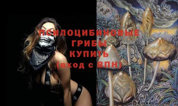 стафф Алзамай