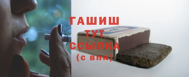 гашик Алексин