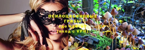 синтетический гашиш Алексеевка