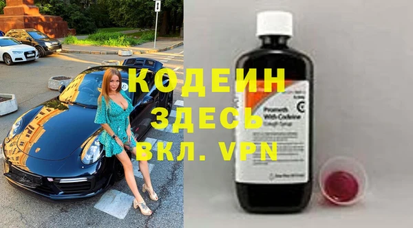 гашик Алексин
