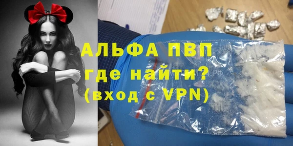 гашик Алексин