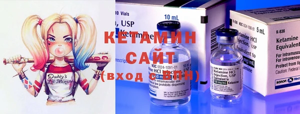гашик Алексин