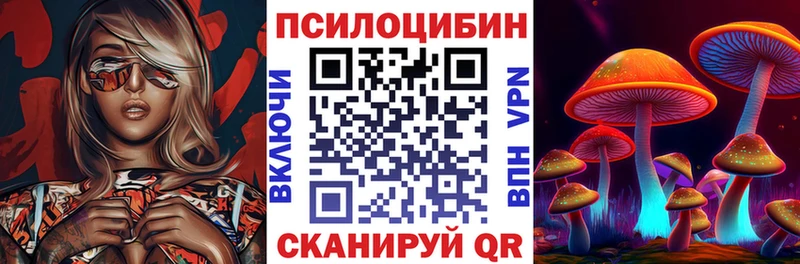кракен ONION  Славск  Галлюциногенные грибы Cubensis 
